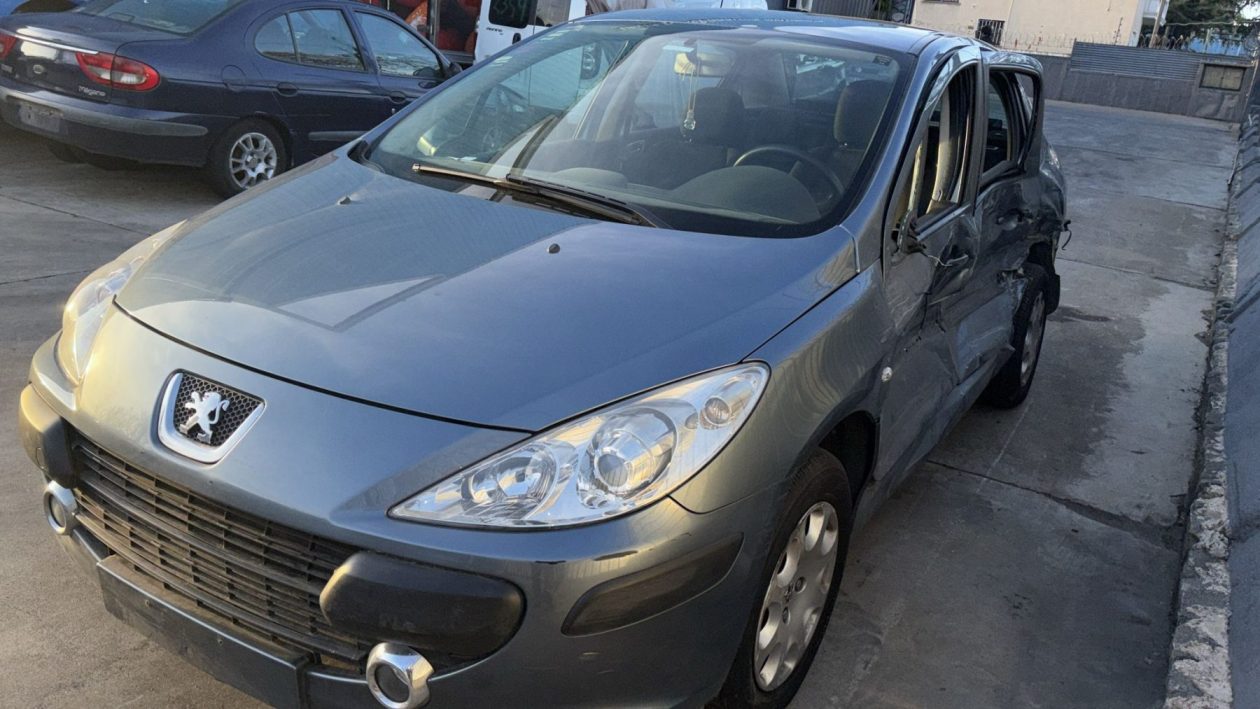 SC148 - PEUGEOT 307- 2007 - Imagen 3