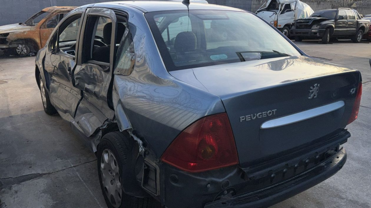 SC148 - PEUGEOT 307- 2007 - Imagen 7