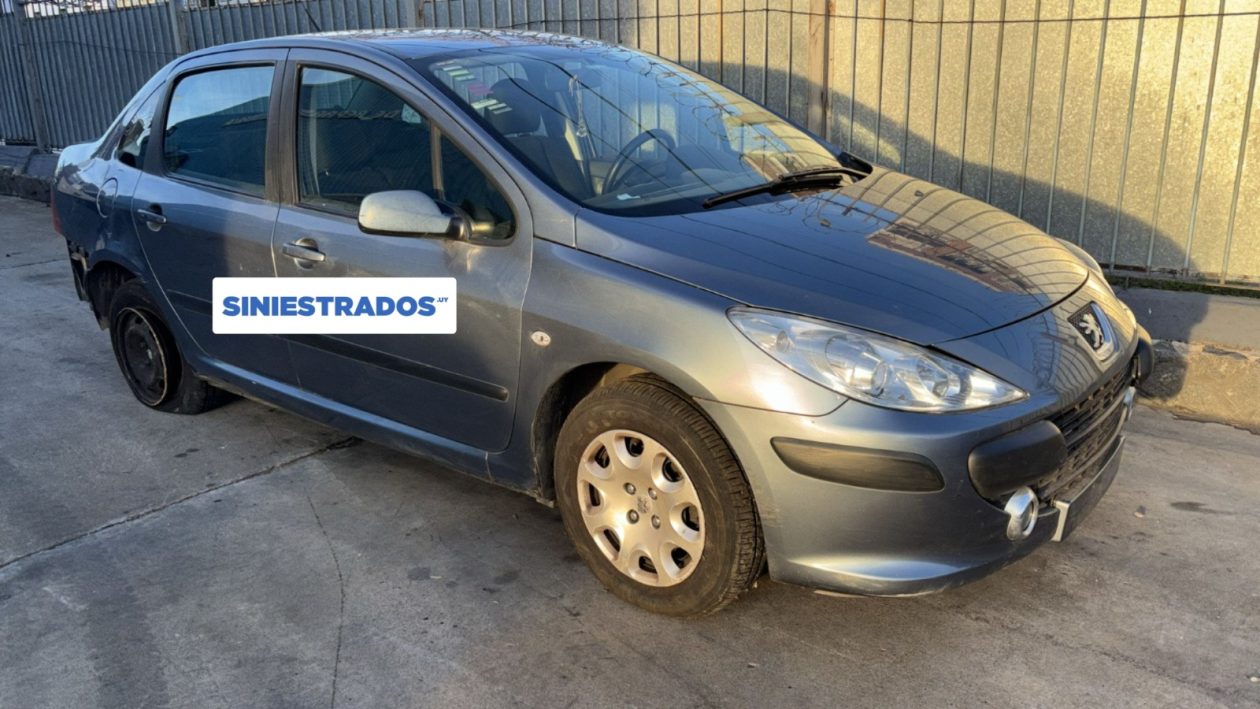 SC148 - PEUGEOT 307- 2007